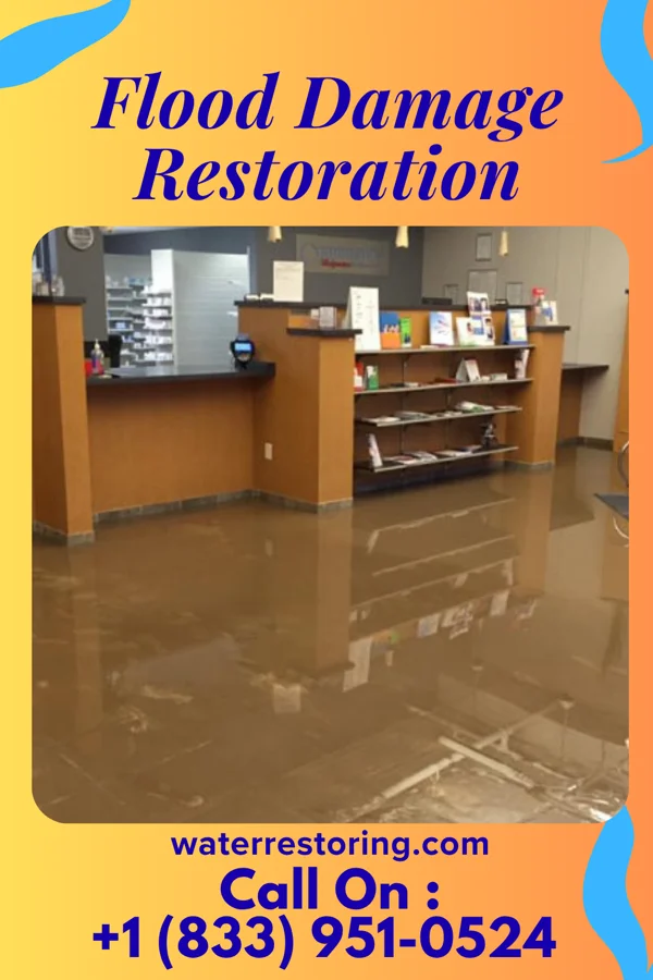Flood Damage Restoration in Cedar Grove, FL